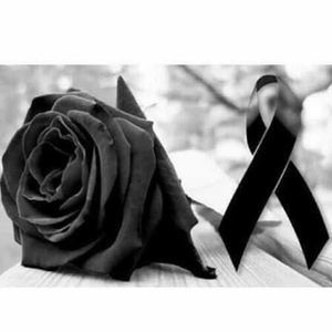 Meet your Posher, Gabriela